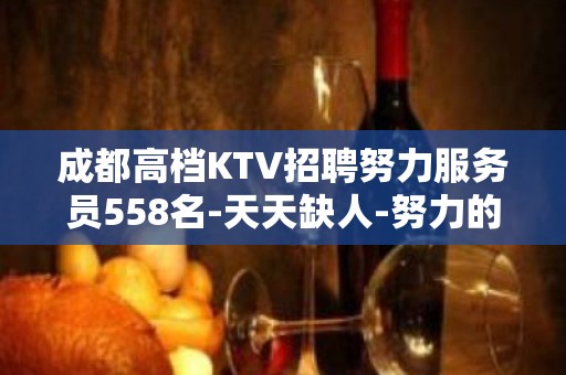 成都高档KTV招聘努力服务员558名-天天缺人-努力的你很美