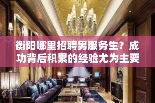 衡阳哪里招聘男服务生？成功背后积累的经验尤为主要