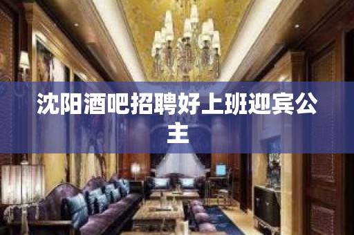 沈阳酒吧招聘好上班迎宾公主