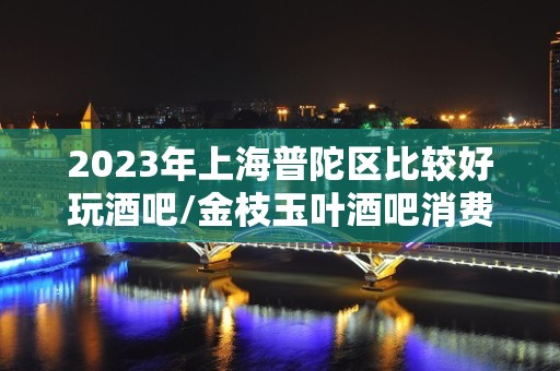 2023年上海普陀区比较好玩酒吧/金枝玉叶酒吧消费价格