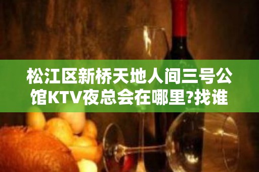 松江区新桥天地人间三号公馆KTV夜总会在哪里?找谁订房?