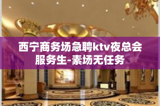 西宁商务场急聘ktv夜总会服务生-素场无任务