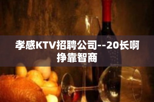 孝感KTV招聘公司--20长啊挣靠智商