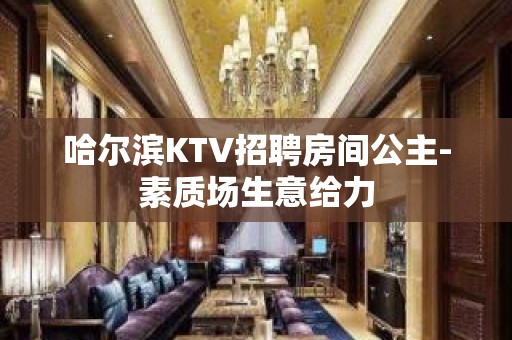 哈尔滨KTV招聘房间公主-素质场生意给力