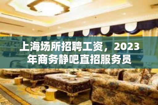 上海场所招聘工资，2023年商务静吧直招服务员