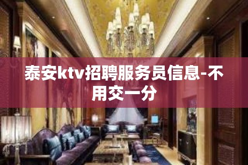 泰安ktv招聘服务员信息-不用交一分