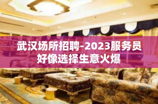 武汉场所招聘-2023服务员好像选择生意火爆