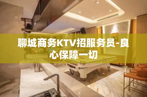 聊城商务KTV招服务员-良心保障一切