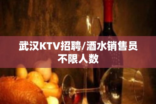 武汉KTV招聘/酒水销售员不限人数