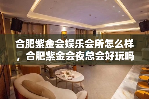 合肥紫金会娱乐会所怎么样，合肥紫金会夜总会好玩吗？