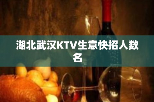 湖北武汉KTV生意快招人数名