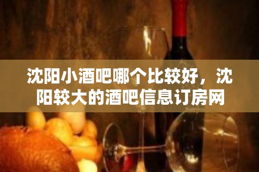 沈阳小酒吧哪个比较好，沈阳较大的酒吧信息订房网