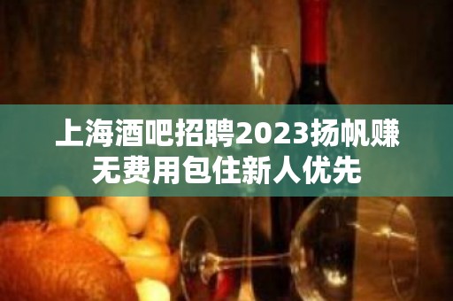 上海酒吧招聘2023扬帆赚无费用包住新人优先