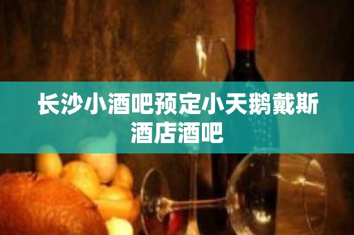 长沙小酒吧预定小天鹅戴斯酒店酒吧