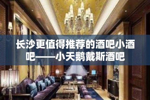 长沙更值得推荐的酒吧小酒吧——小天鹅戴斯酒吧