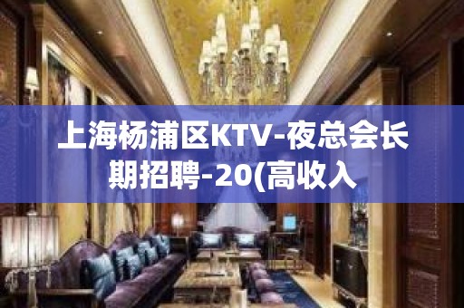 上海杨浦区KTV-夜总会长期招聘-20(高收入