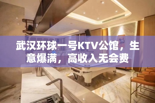 武汉环球一号KTV公馆，生意爆满，高收入无会费