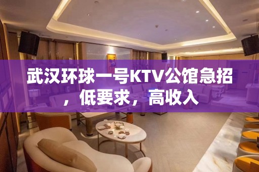 武汉环球一号KTV公馆急招，低要求，高收入