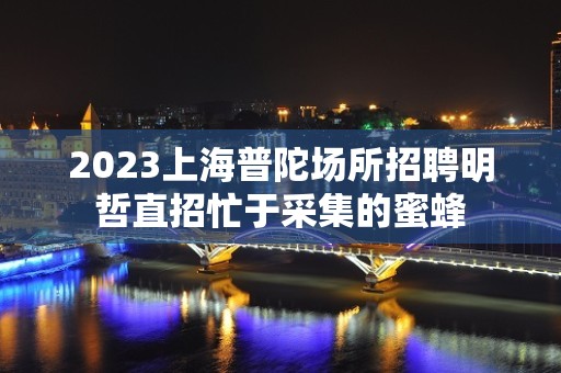 2023上海普陀场所招聘明哲直招忙于采集的蜜蜂