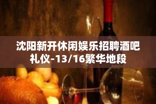 沈阳新开休闲娱乐招聘酒吧礼仪-13/16繁华地段