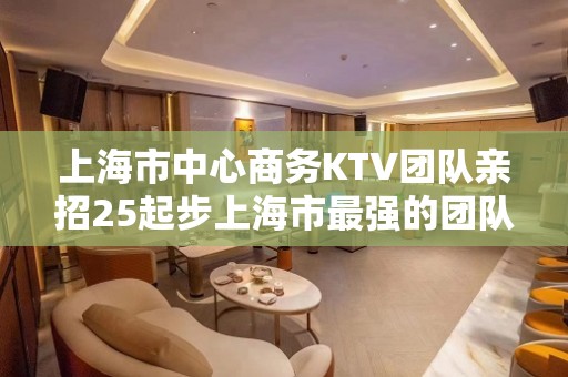 上海市中心商务KTV团队亲招25起步上海市最强的团队