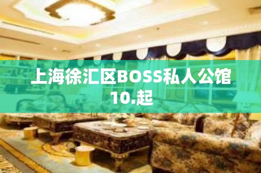 上海徐汇区BOSS私人公馆10.起