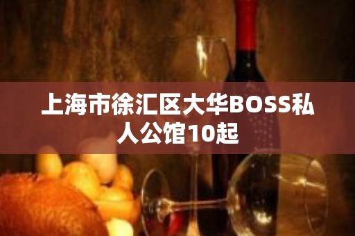 上海市徐汇区大华BOSS私人公馆10起