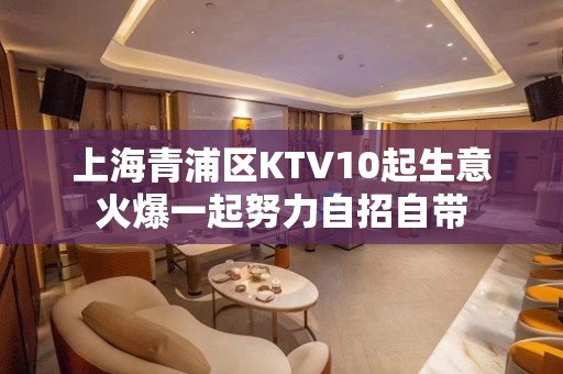 上海青浦区KTV10起生意火爆一起努力自招自带