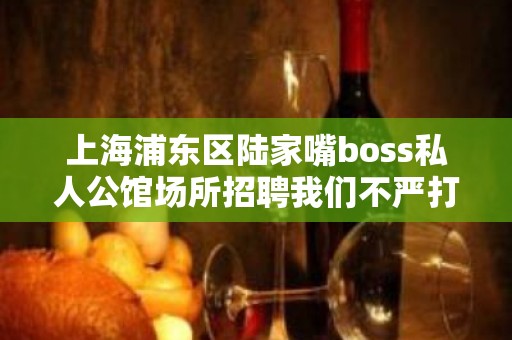 上海浦东区陆家嘴boss私人公馆场所招聘我们不严打靠谁不