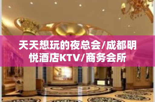 天天想玩的夜总会/成都明悦酒店KTV/商务会所