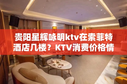 贵阳星辉咏明ktv在索菲特酒店几楼？KTV消费价格情况？