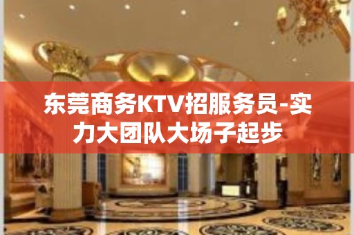 东莞商务KTV招服务员-实力大团队大场子起步