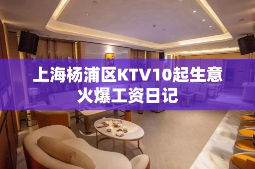 上海杨浦区KTV10起生意火爆工资日记