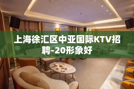 上海徐汇区中亚国际KTV招聘-20形象好