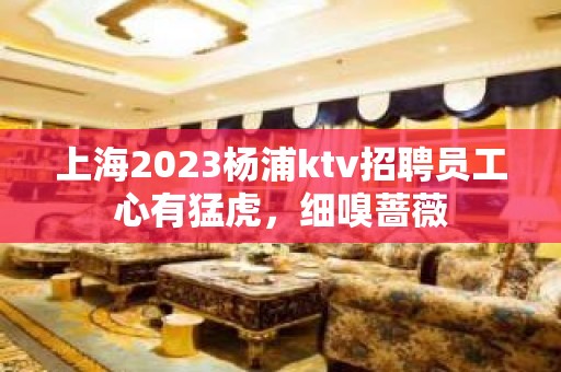 上海2023杨浦ktv招聘员工心有猛虎，细嗅蔷薇