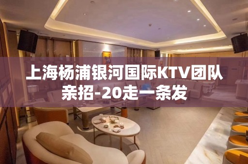 上海杨浦银河国际KTV团队亲招-20走一条发