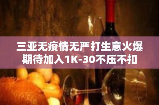 三亚无疫情无严打生意火爆期待加入1K-30不压不扣