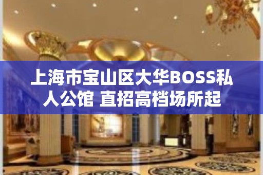 上海市宝山区大华BOSS私人公馆 直招高档场所起