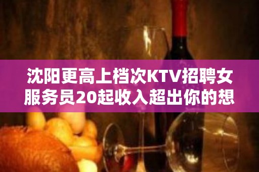 沈阳更高上档次KTV招聘女服务员20起收入超出你的想像