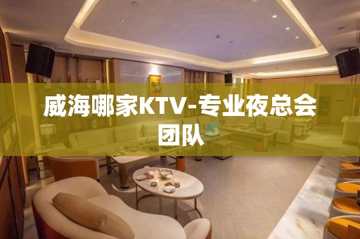 威海哪家KTV-专业夜总会团队