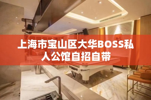 上海市宝山区大华BOSS私人公馆自招自带