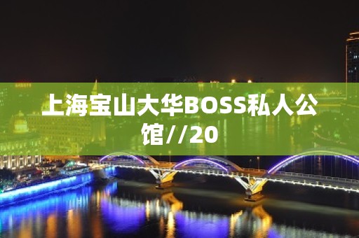 上海宝山大华BOSS私人公馆//20