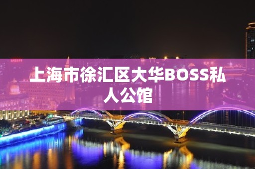 上海市徐汇区大华BOSS私人公馆