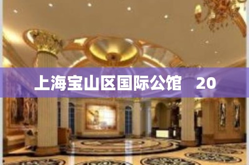 上海宝山区国际公馆   20