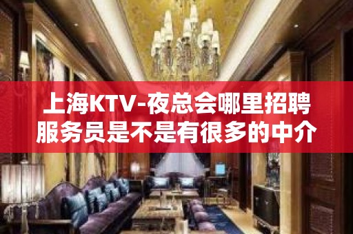 上海KTV-夜总会哪里招聘服务员是不是有很多的中介